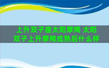 上升双子座太阳摩羯 太阳双子上升摩羯成熟后什么样